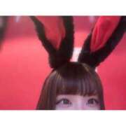 ヒメ日記 2025/03/17 12:40 投稿 ユア【恋人のような思い出を…】 バニーコレクション 中洲店