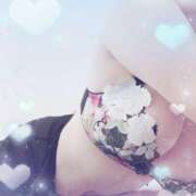 ヒメ日記 2025/07/17 21:42 投稿 熟女 ほたる ハナミズキ