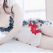 ヒメ日記 2025/07/19 19:00 投稿 熟女 ほたる ハナミズキ