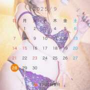 ヒメ日記 2025/08/28 22:48 投稿 熟女 ほたる ハナミズキ