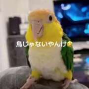 ヒメ日記 2025/07/13 15:43 投稿 みどり 池袋角海老