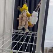 ヒメ日記 2025/07/16 15:23 投稿 みどり 池袋角海老