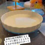 ヒメ日記 2025/07/18 16:53 投稿 みどり 池袋角海老