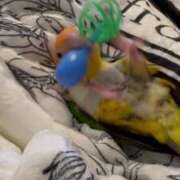 ヒメ日記 2025/08/05 14:53 投稿 みどり 池袋角海老