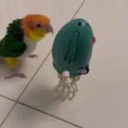 ヒメ日記 2025/09/03 00:23 投稿 みどり 池袋角海老