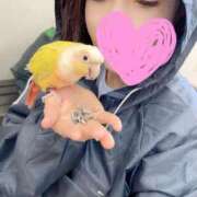 ヒメ日記 2025/09/17 19:03 投稿 みどり 池袋角海老