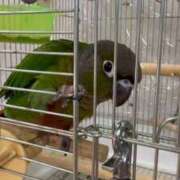 ヒメ日記 2025/09/30 15:33 投稿 みどり 池袋角海老