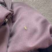 ヒメ日記 2025/10/01 17:43 投稿 みどり 池袋角海老