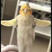 ヒメ日記 2025/10/09 15:53 投稿 みどり 池袋角海老