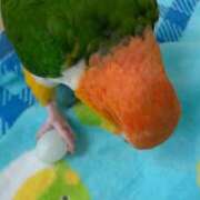 ヒメ日記 2025/10/14 16:23 投稿 みどり 池袋角海老