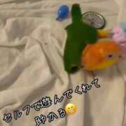 ヒメ日記 2025/10/16 11:33 投稿 みどり 池袋角海老