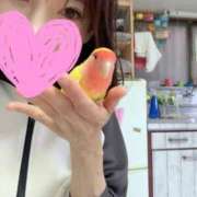 ヒメ日記 2025/10/21 11:13 投稿 みどり 池袋角海老