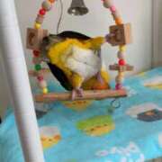 ヒメ日記 2025/10/23 11:24 投稿 みどり 池袋角海老