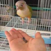 ヒメ日記 2025/10/25 13:34 投稿 みどり 池袋角海老