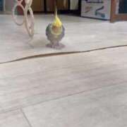 ヒメ日記 2025/10/29 23:33 投稿 みどり 池袋角海老