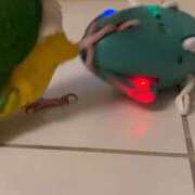 ヒメ日記 2025/10/30 15:03 投稿 みどり 池袋角海老