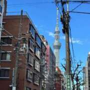 ヒメ日記 2025/11/03 16:43 投稿 みどり 池袋角海老