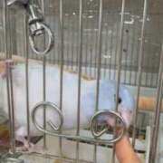 ヒメ日記 2025/11/11 17:53 投稿 みどり 池袋角海老