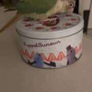 ヒメ日記 2025/11/15 11:13 投稿 みどり 池袋角海老