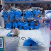 ヒメ日記 2025/11/22 17:53 投稿 みどり 池袋角海老