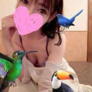 ヒメ日記 2025/11/30 10:50 投稿 みどり 池袋角海老