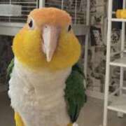 ヒメ日記 2025/12/30 10:04 投稿 みどり 池袋角海老