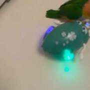 ヒメ日記 2026/01/05 17:23 投稿 みどり 池袋角海老