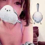 ヒメ日記 2026/01/15 19:13 投稿 みどり 池袋角海老