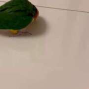 ヒメ日記 2026/01/30 15:53 投稿 みどり 池袋角海老