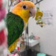 ヒメ日記 2026/02/02 12:14 投稿 みどり 池袋角海老