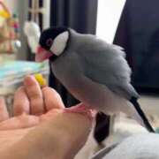 ヒメ日記 2026/02/10 12:03 投稿 みどり 池袋角海老