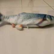 ヒメ日記 2026/03/05 11:13 投稿 みどり 池袋角海老