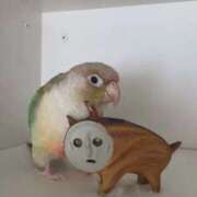 ヒメ日記 2026/03/05 19:13 投稿 みどり 池袋角海老