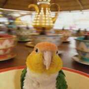 ヒメ日記 2026/03/28 21:43 投稿 みどり 池袋角海老