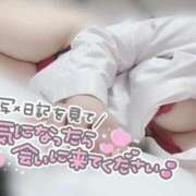 ヒメ日記 2025/03/20 18:08 投稿 める 成田富里インターちゃんこ