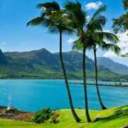 ヒメ日記 2025/06/17 19:18 投稿 野上 鈴々 名古屋貴楼館