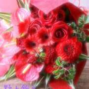 ヒメ日記 2025/09/21 11:11 投稿 野上 鈴々 名古屋貴楼館