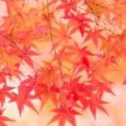 ヒメ日記 2025/10/01 09:18 投稿 野上 鈴々 名古屋貴楼館