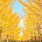 野上 鈴々 ほっこり♡ 名古屋貴楼館