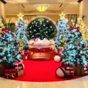 ヒメ日記 2025/12/15 20:28 投稿 野上 鈴々 名古屋貴楼館