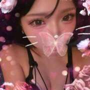 ヒメ日記 2025/08/25 12:20 投稿 ふうか 川崎ソープ　クリスタル京都南町