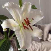 ヒメ日記 2025/05/10 16:57 投稿 みすず 渋谷じゃっくす