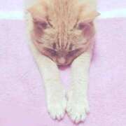 ヒメ日記 2025/04/24 05:35 投稿 波瑠（はる） 熟女の風俗最終章 大宮店