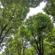 ヒメ日記 2025/06/12 11:35 投稿 波瑠（はる） 熟女の風俗最終章 大宮店