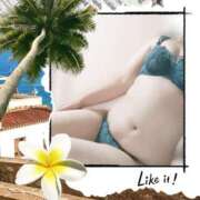 ヒメ日記 2025/08/12 02:45 投稿 波瑠（はる） 熟女の風俗最終章 大宮店