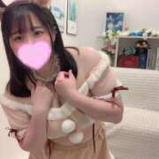 ヒメ日記 2025/04/24 21:04 投稿 そら 谷町豊満奉仕倶楽部