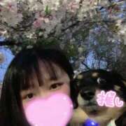 ヒメ日記 2026/04/10 12:44 投稿 そら 谷町豊満奉仕倶楽部