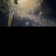 ヒメ日記 2025/07/29 09:16 投稿 愛結花【未経験でも頑張ります】 Club Rosa