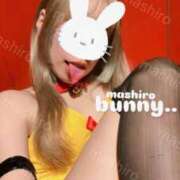 ヒメ日記 2025/11/23 12:16 投稿 マシロ【 超絶エロ大使♡】 ドＭなバニーちゃん小倉店