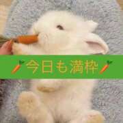 ヒメ日記 2026/03/21 18:08 投稿 マシロ【 超絶エロ大使♡】 ドＭなバニーちゃん小倉店